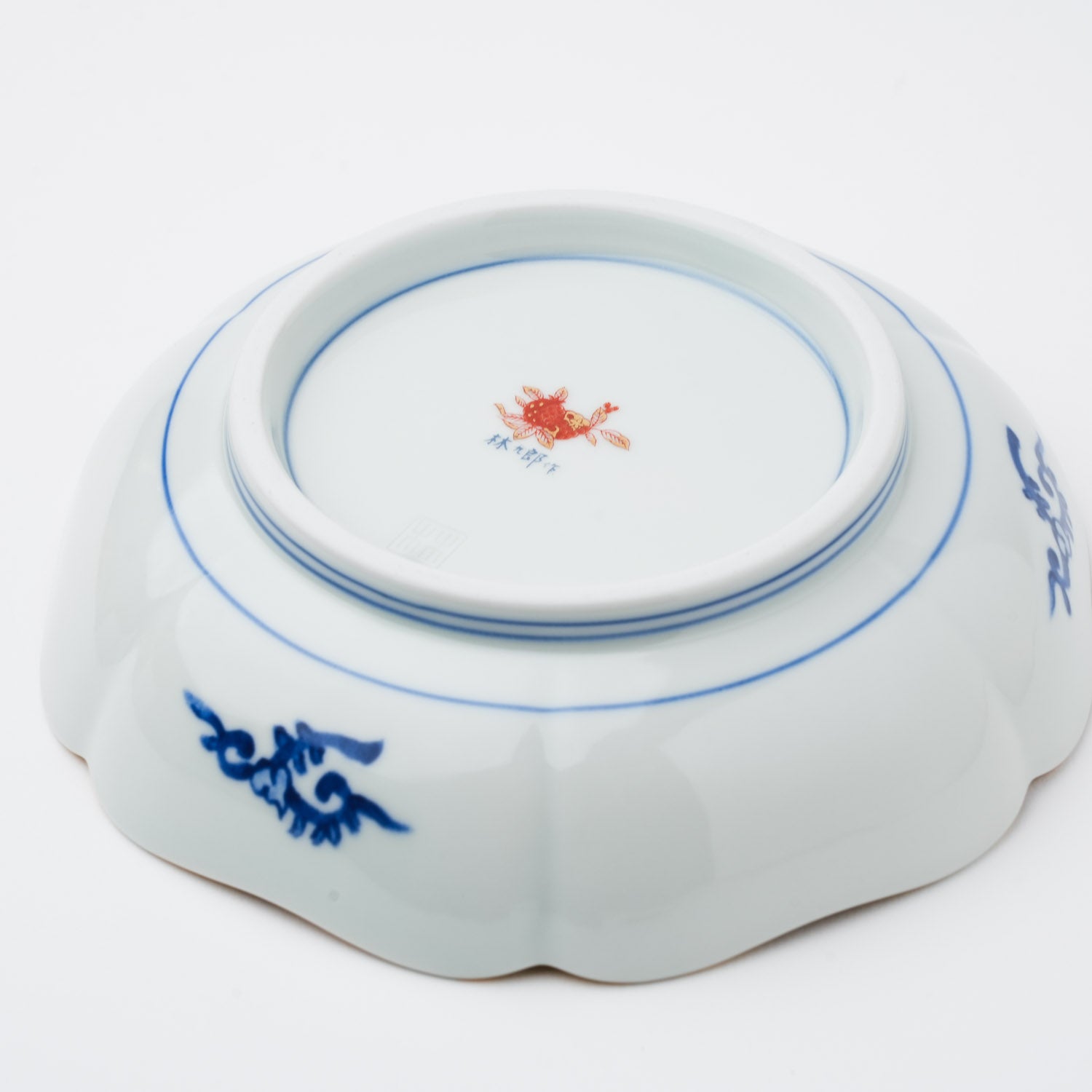 赤濃木甲草花 小鉢