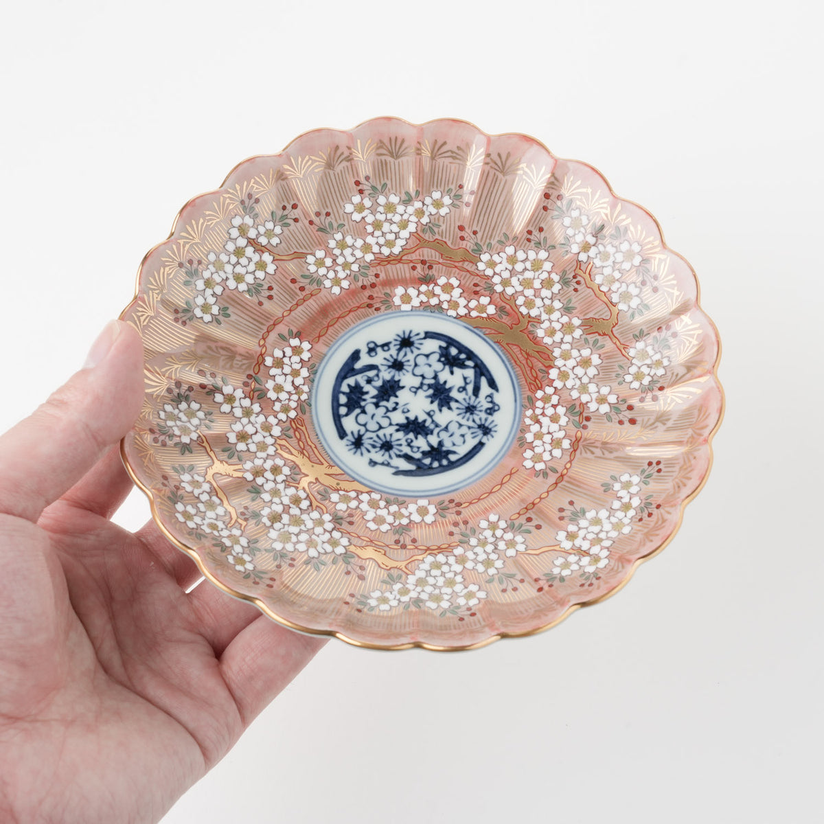 琳派桜樹文 5号皿 15cm