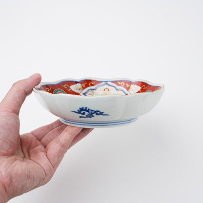 赤濃木甲草花　小鉢