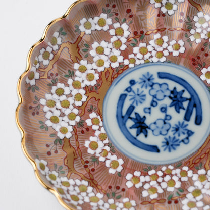 琳派桜樹文 3号皿 10.5cm