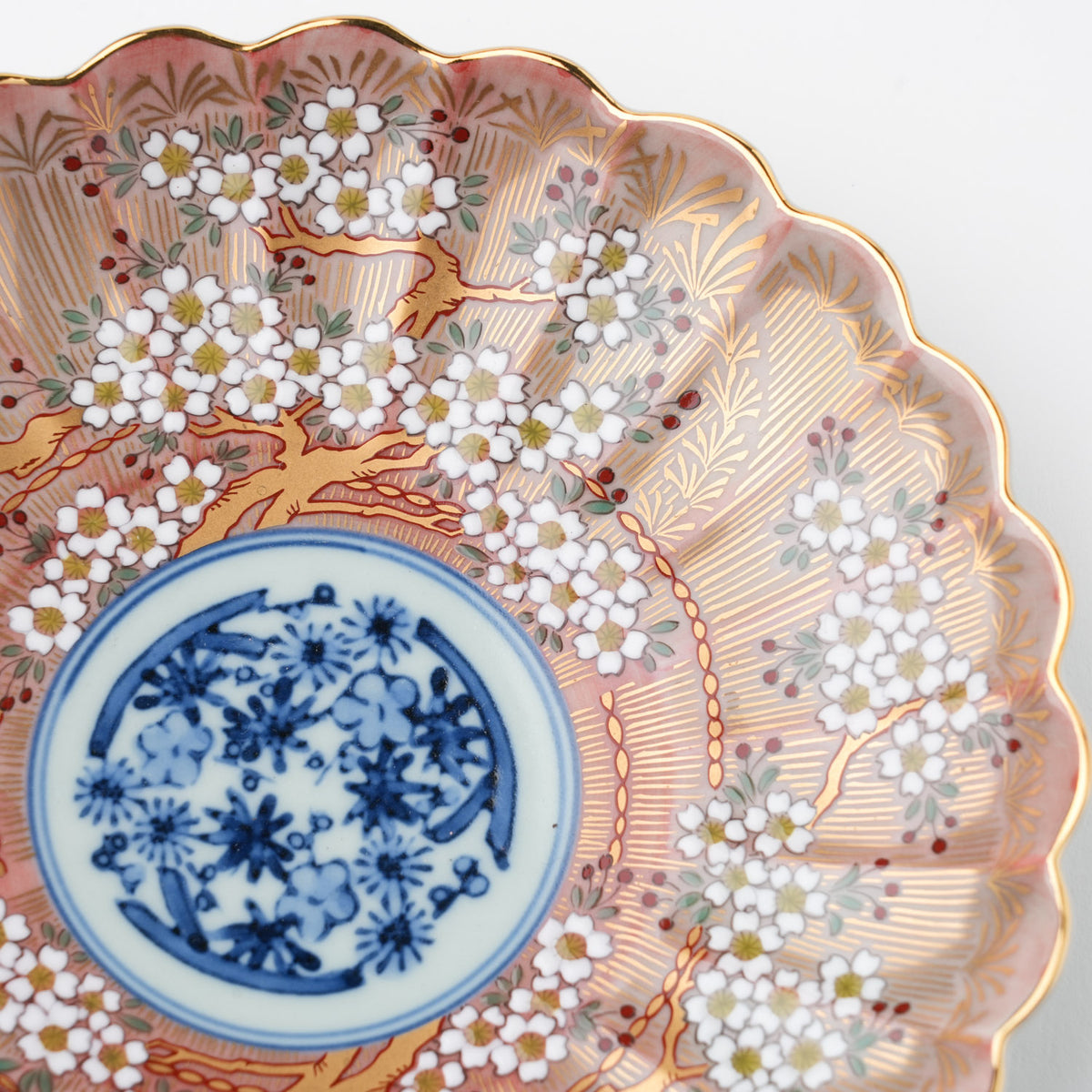 琳派桜樹文 5号皿 15cm