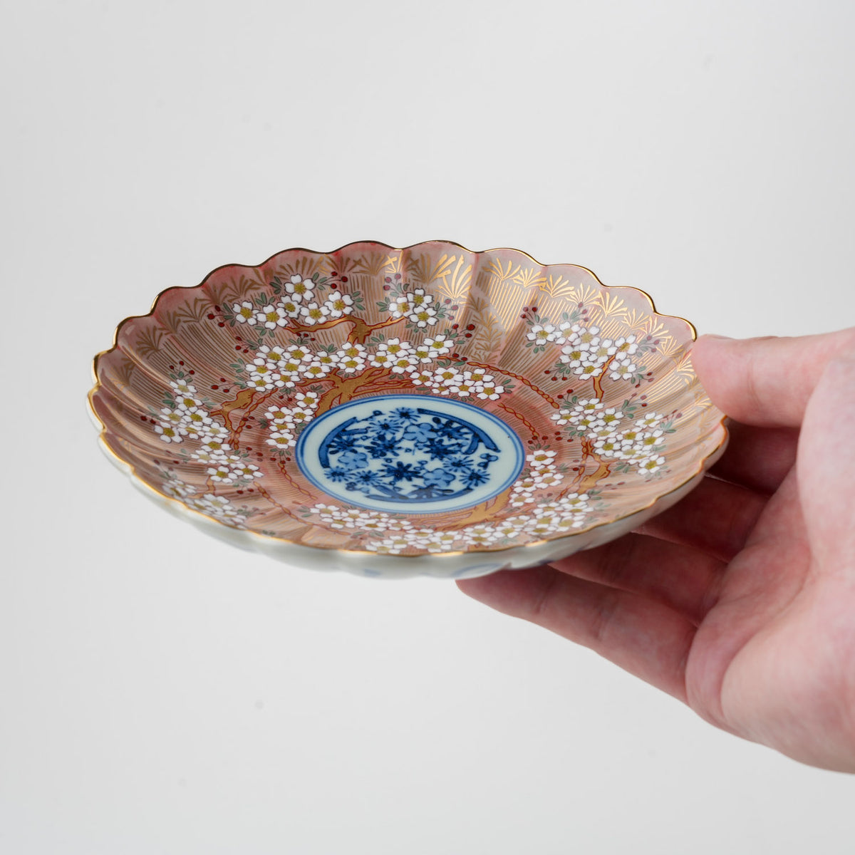 琳派桜樹文 5号皿 15cm
